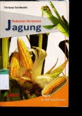 PEDOMAN BERTANAM JAGUNG